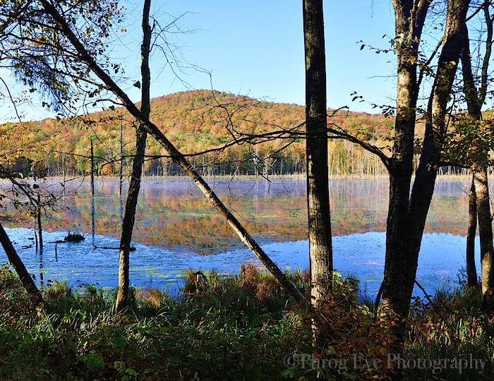 7. Beaver Pond Reflection.jpg