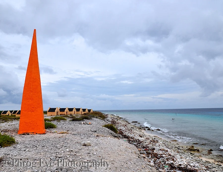 2011 04 bonaire 428.jpg