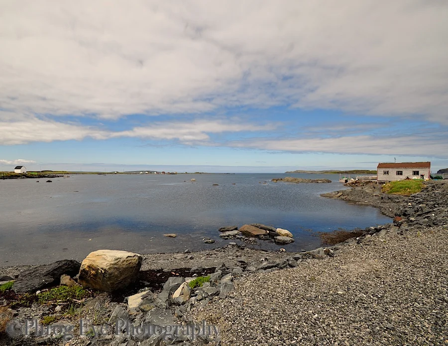 DSC_0577.jpg