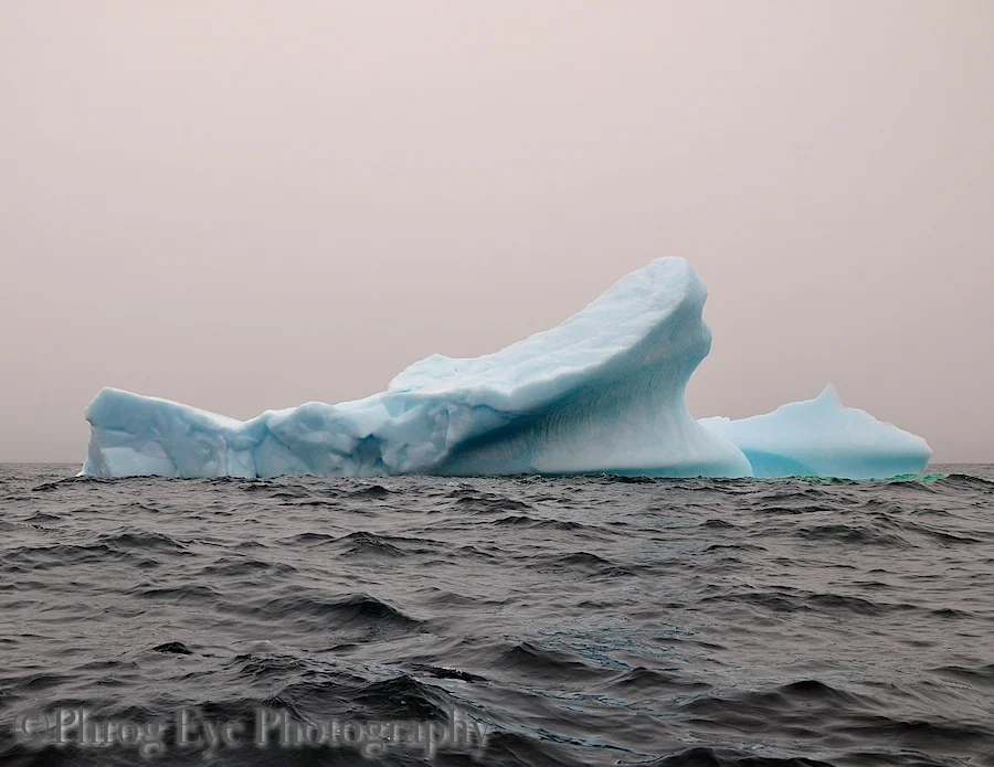 DSC_0546.jpg