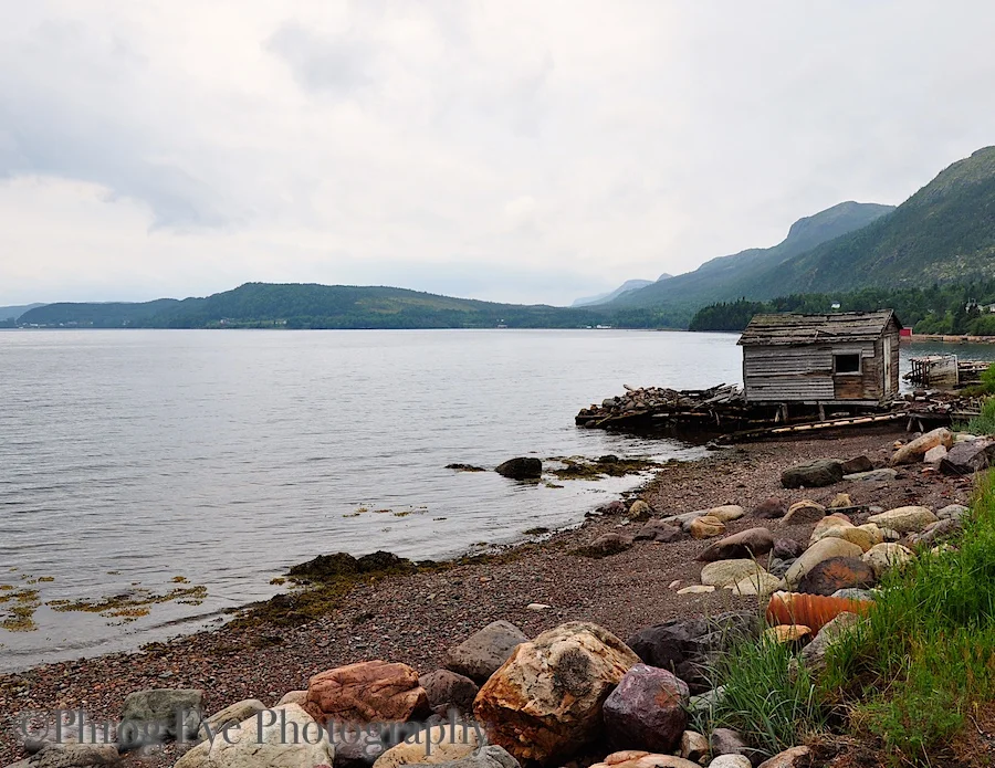 DSC_0664.jpg