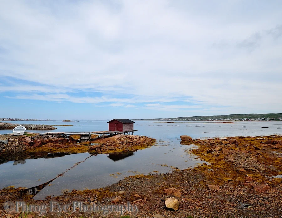 DSC_0125.jpg