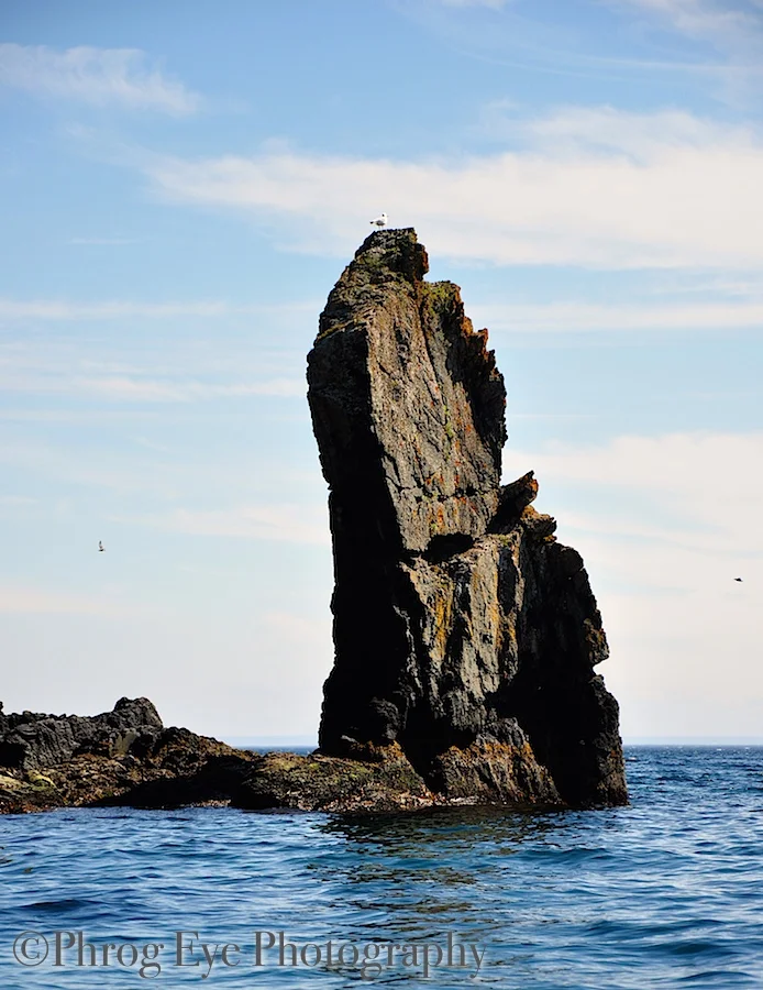 DSC_0663.jpg