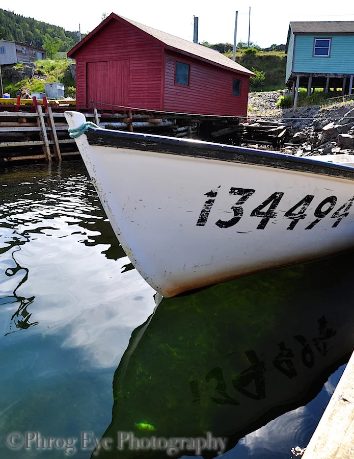 DSC_0906.jpg