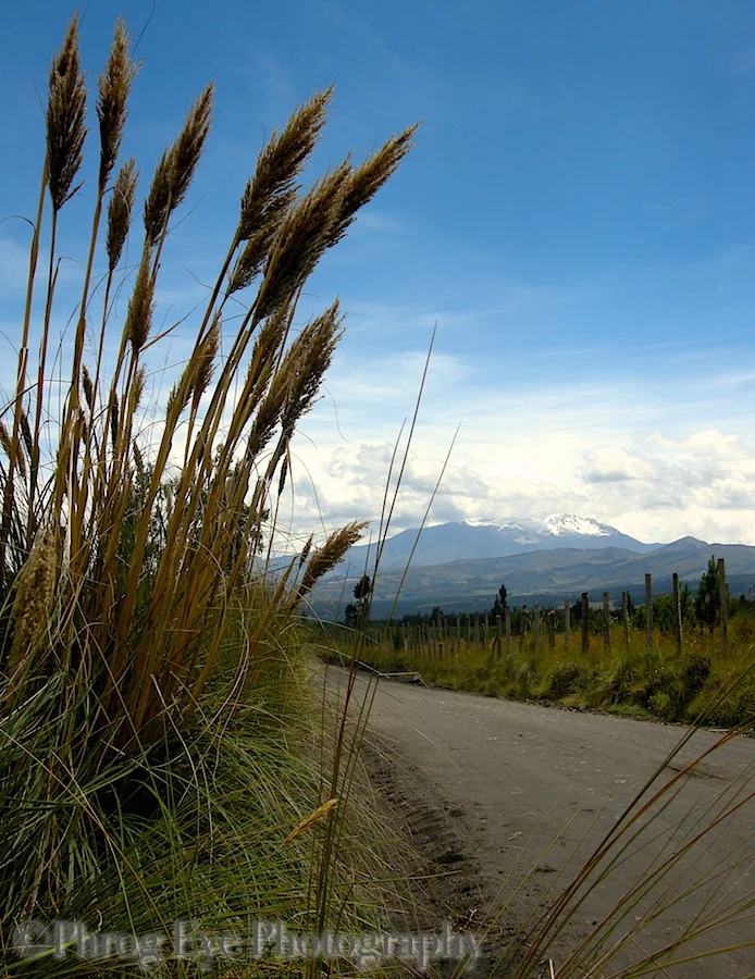 DSCN3585.jpg