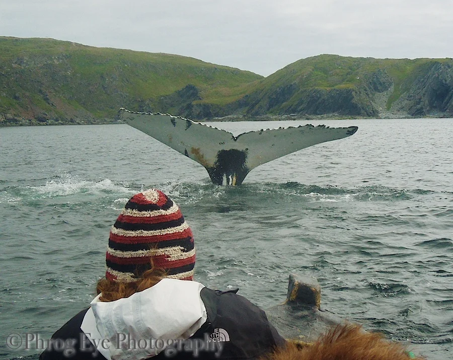 2012 07 NewFndlnd trip 294.jpg