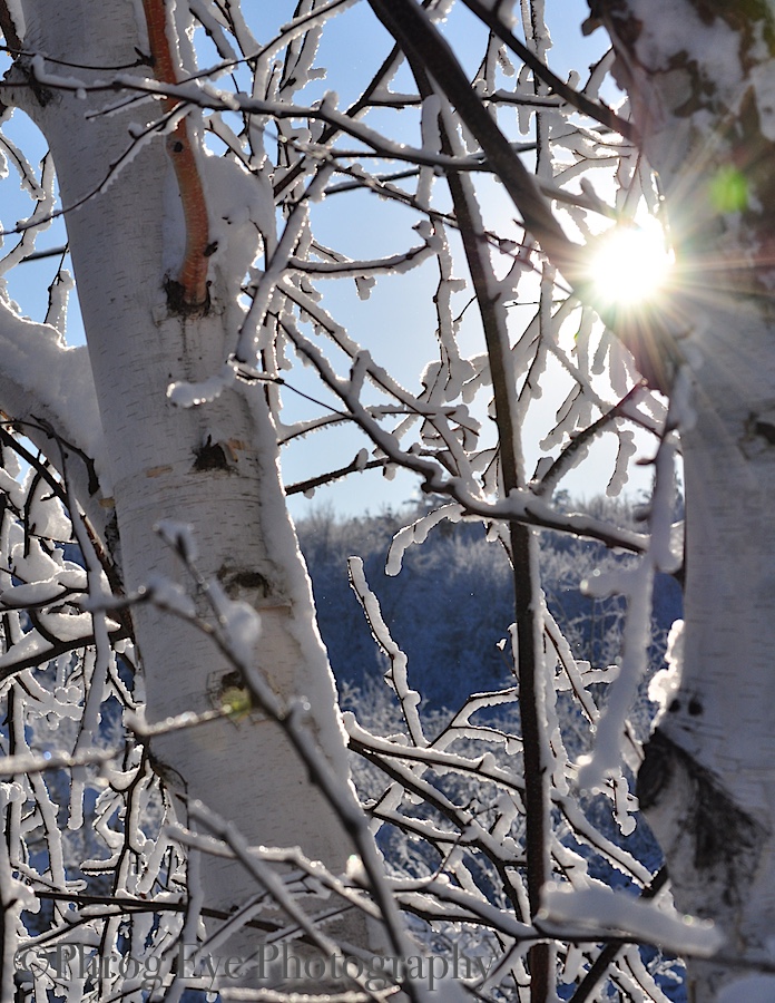 DSC_0474.jpg