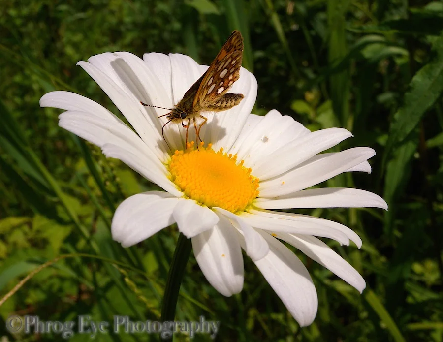 DSCN5941.jpg