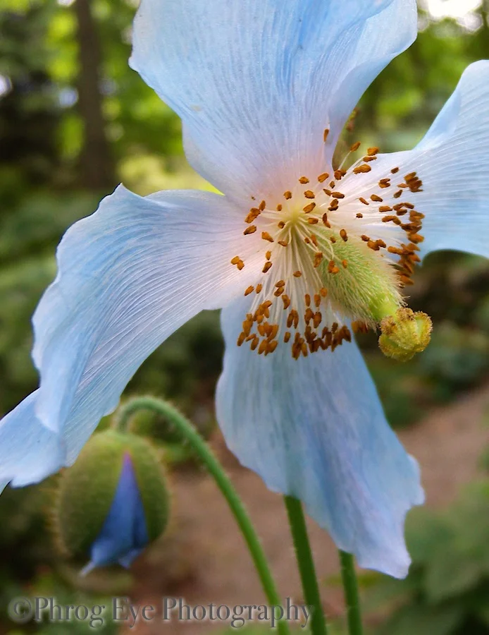 DSCN6227.jpg
