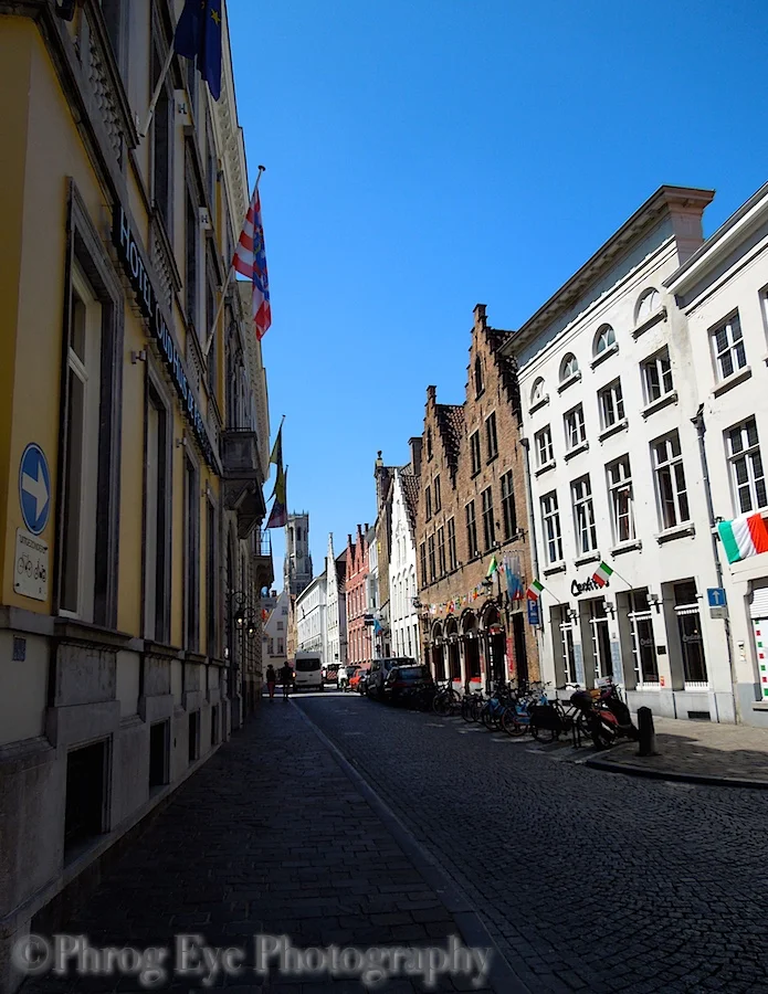 DSCN7051.jpg