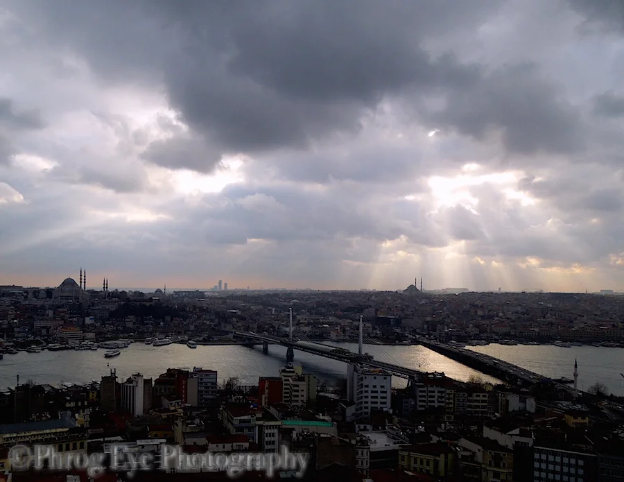 DSCN7460.jpg