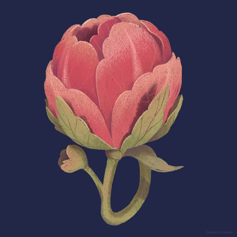 flower2.jpg