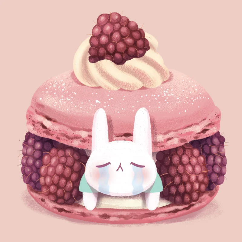 raspberry-macaron.jpg