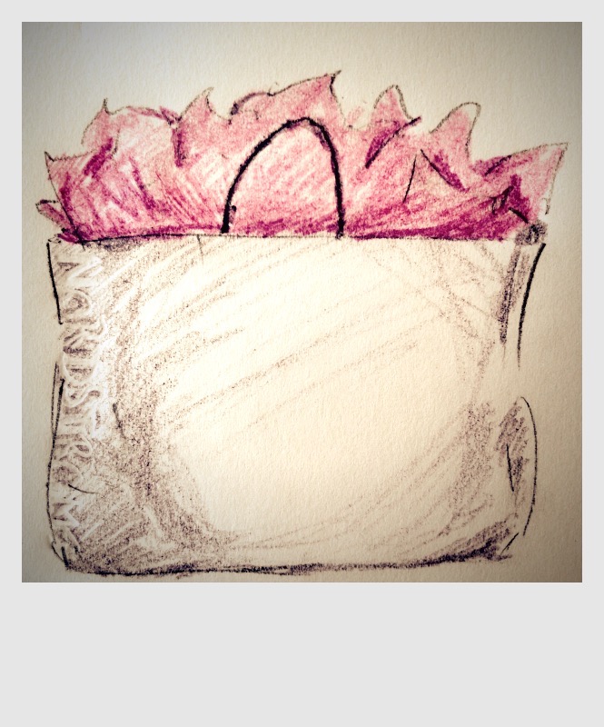 Christmas arrived early this year - Yes, Virginia. There is a Nordstrom in Vancouver! SWAG bag full of gifts and samples galore from the BFF event, September 11, 2015 . Illustration by Heather Phillips