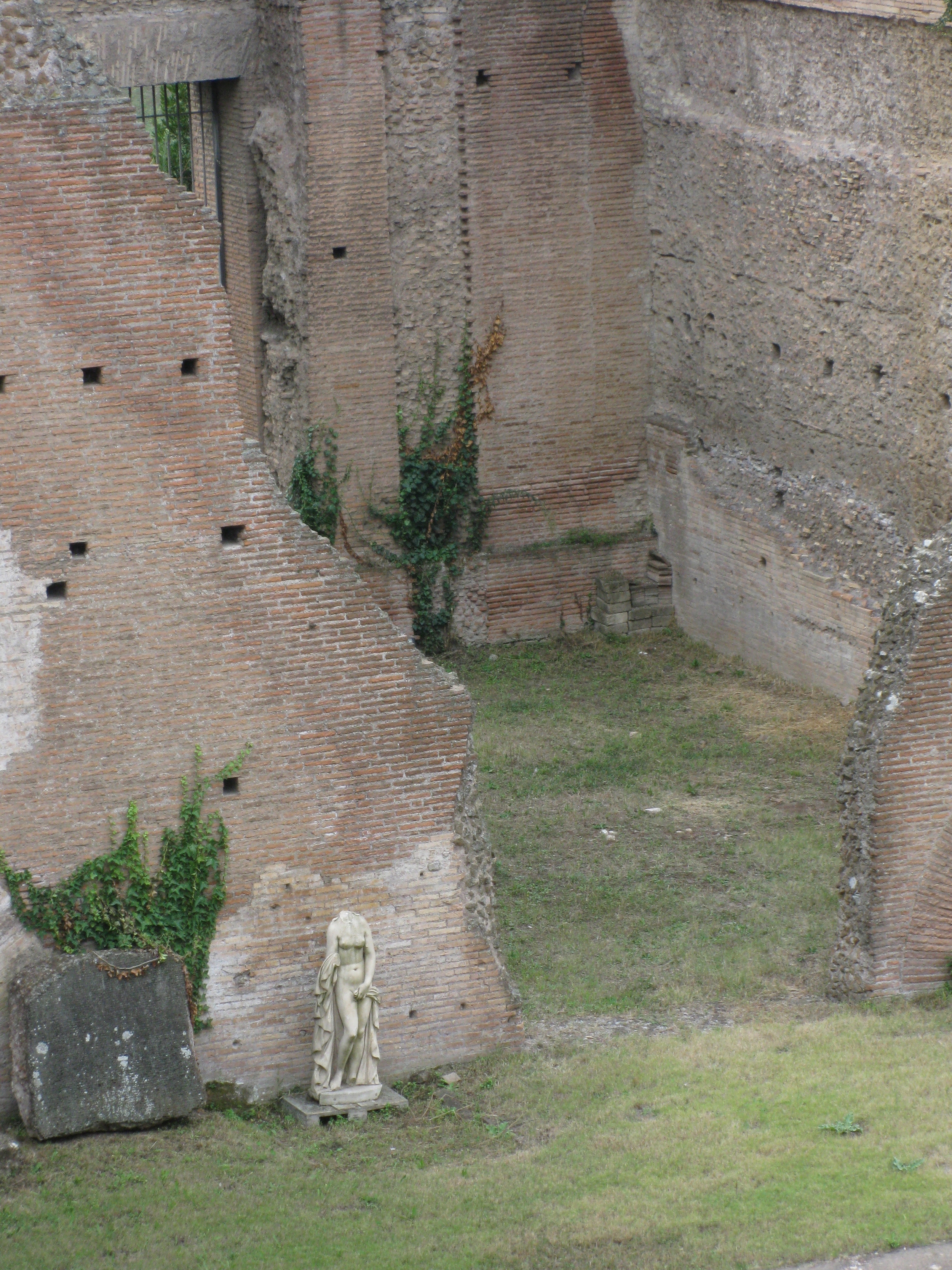 IMG_5355.jpg