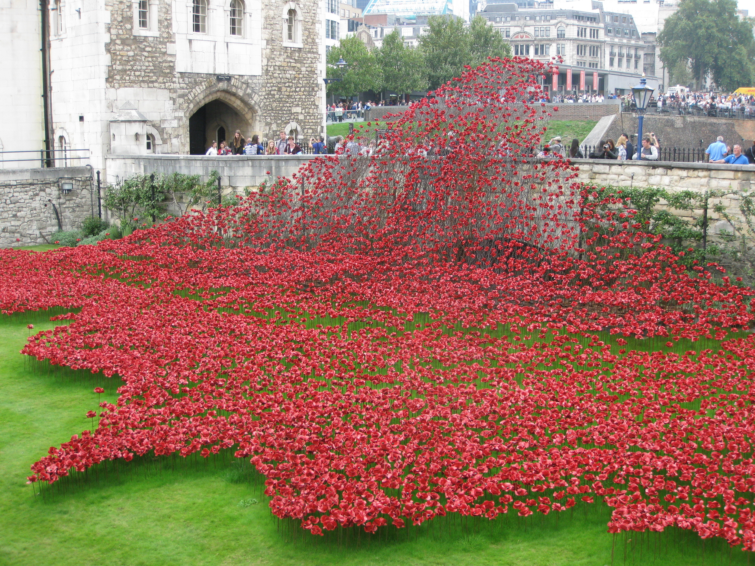 Poppy installation, Tower of London - September 2014.