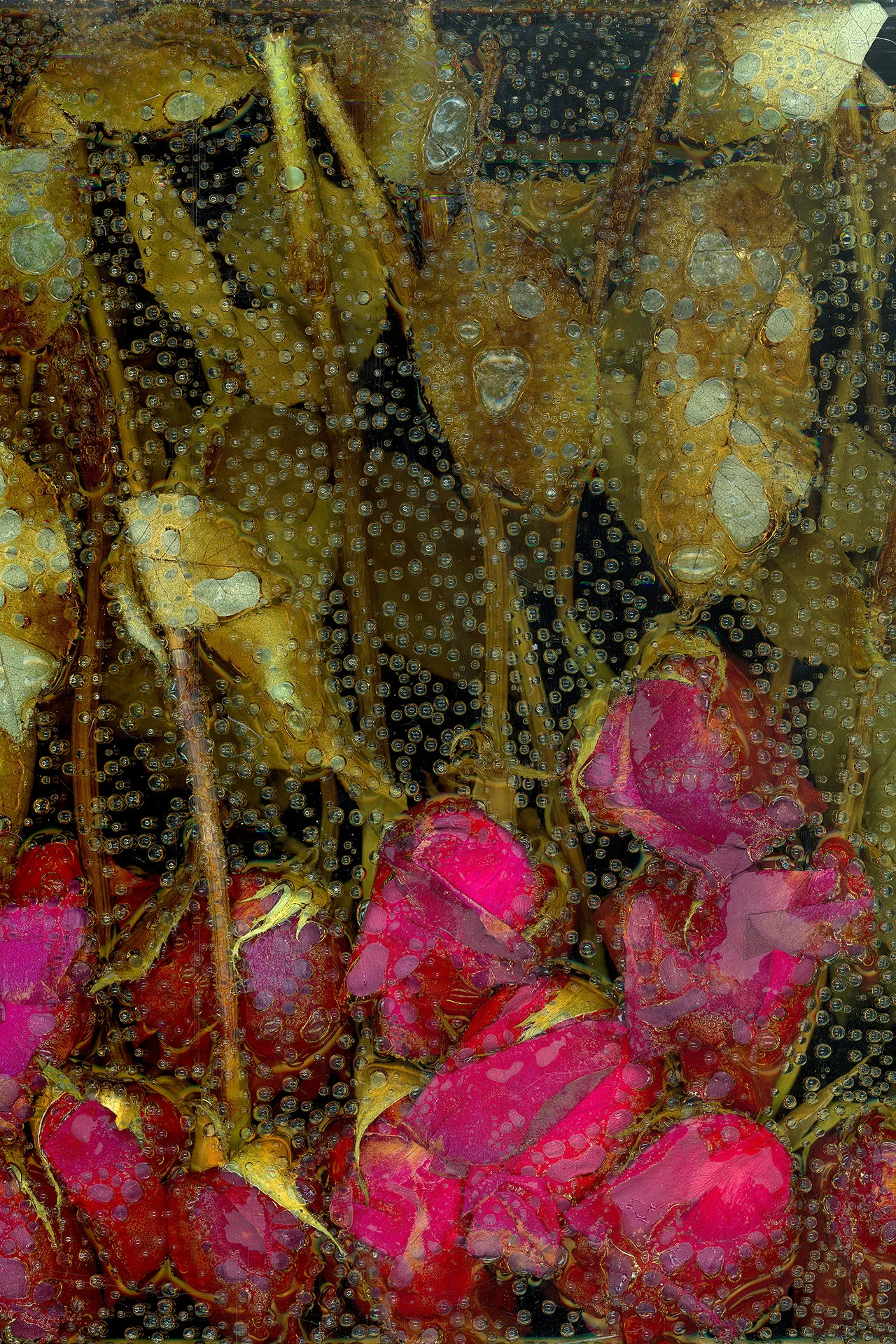 victoria marie bee, la petite mort,&nbsp;2016[click on image for fullscreen]