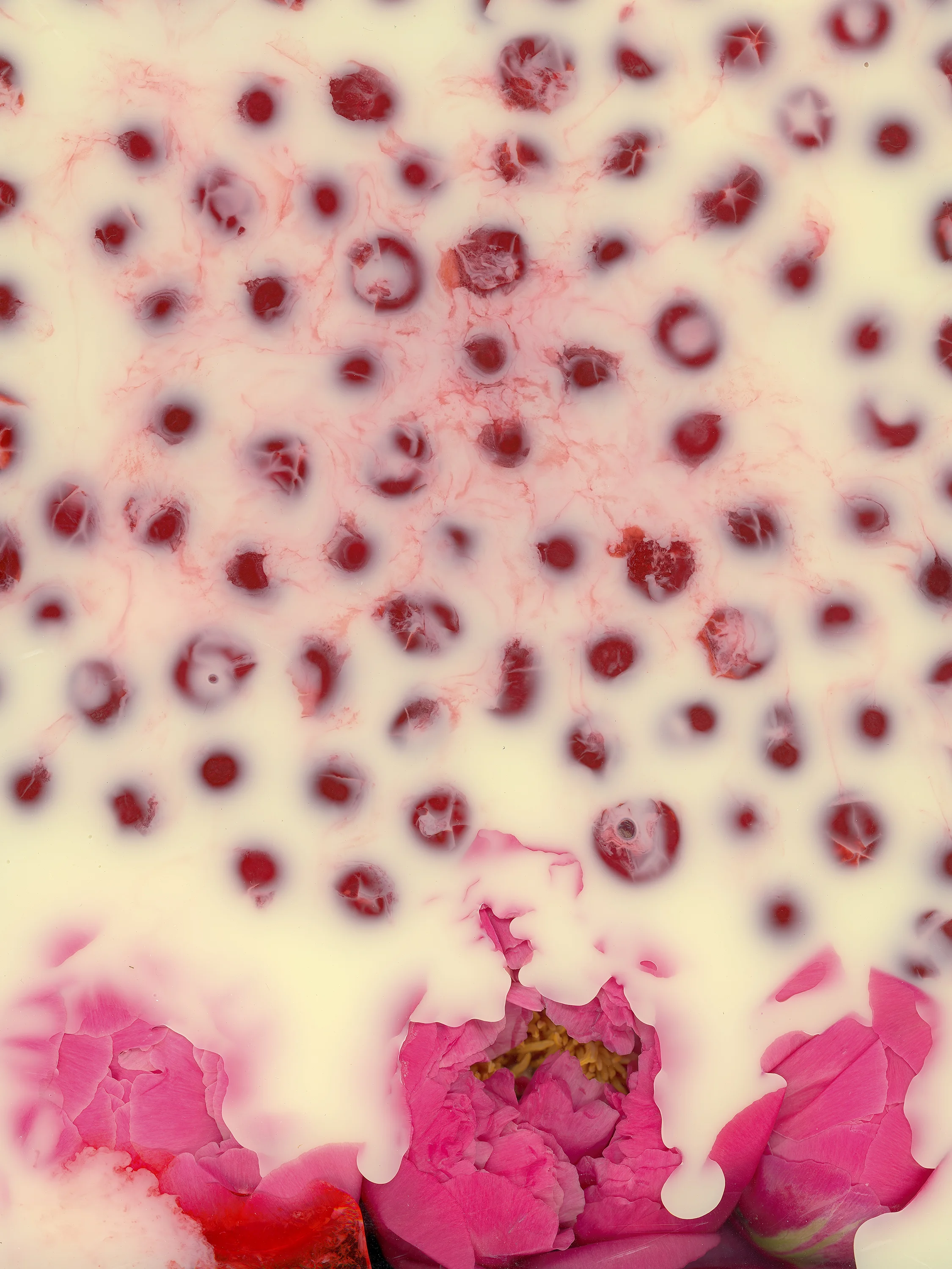victoria marie bee, flesh licker, cherry picker,&nbsp;2016[click on image for fullscreen]