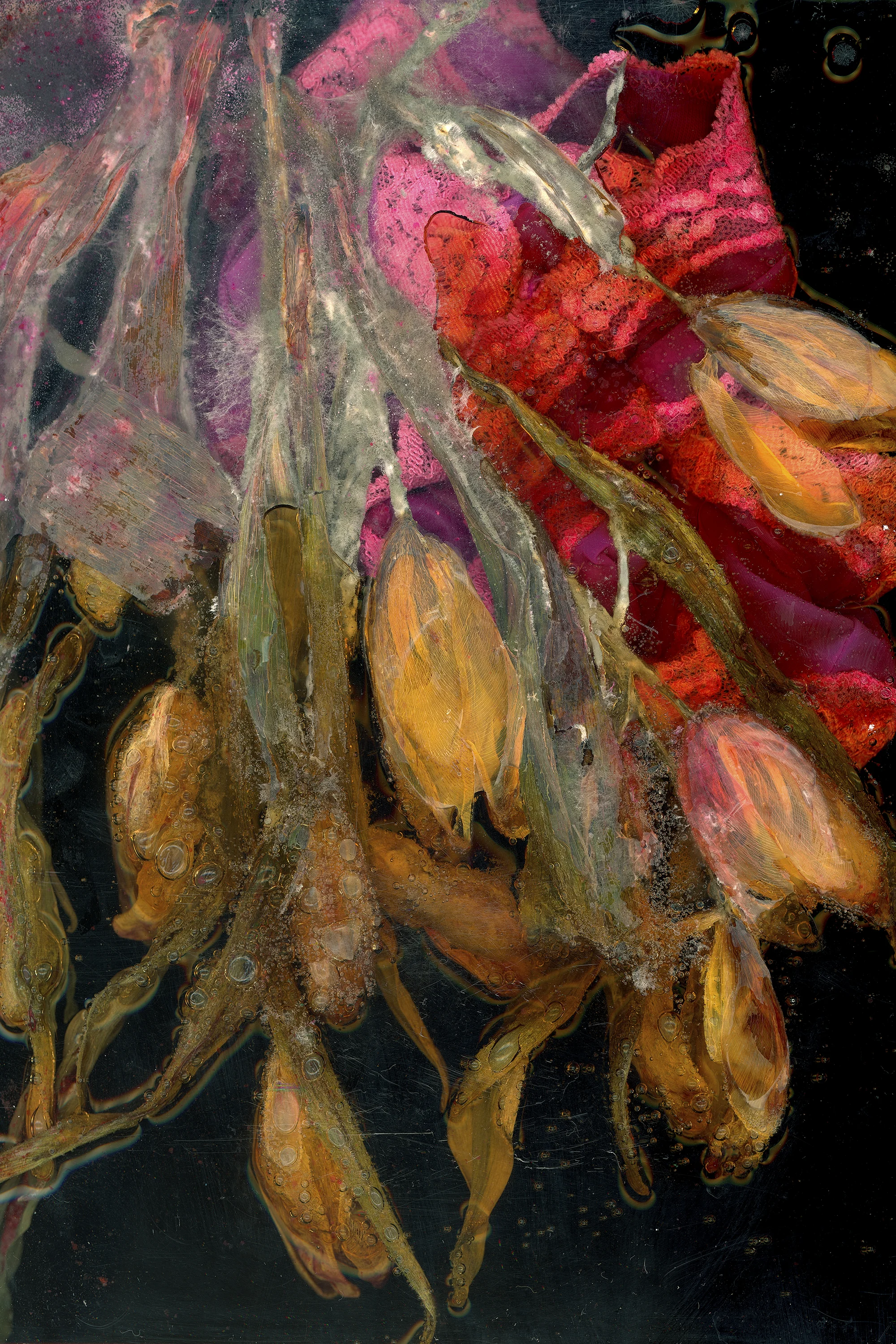 victoria marie bee,&nbsp;&amp; from your lips she drew the Hallelujah,&nbsp;2016[click on image for fullscreen]
