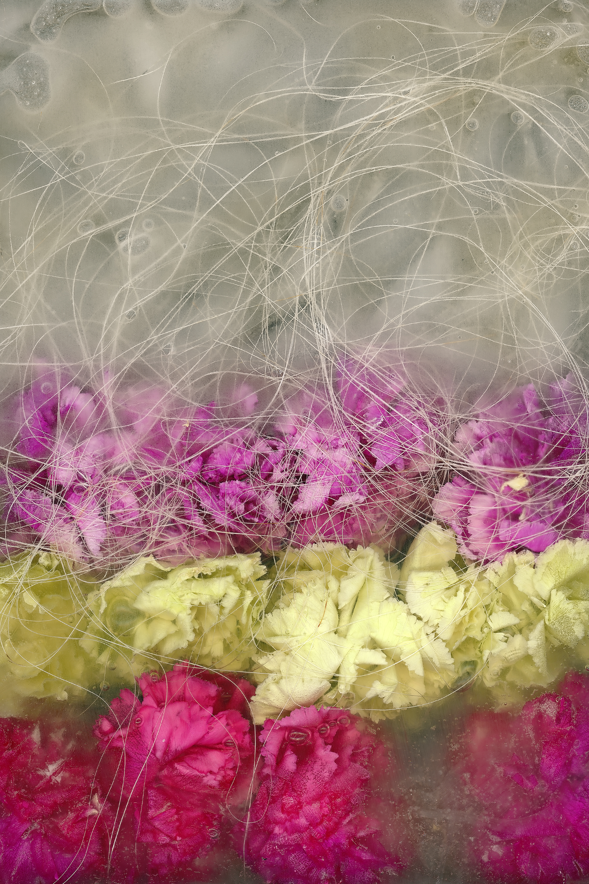 victoria marie bee,&nbsp;she wouldn't say what we both knew.&nbsp;pigment print 40 x 60 inches2017