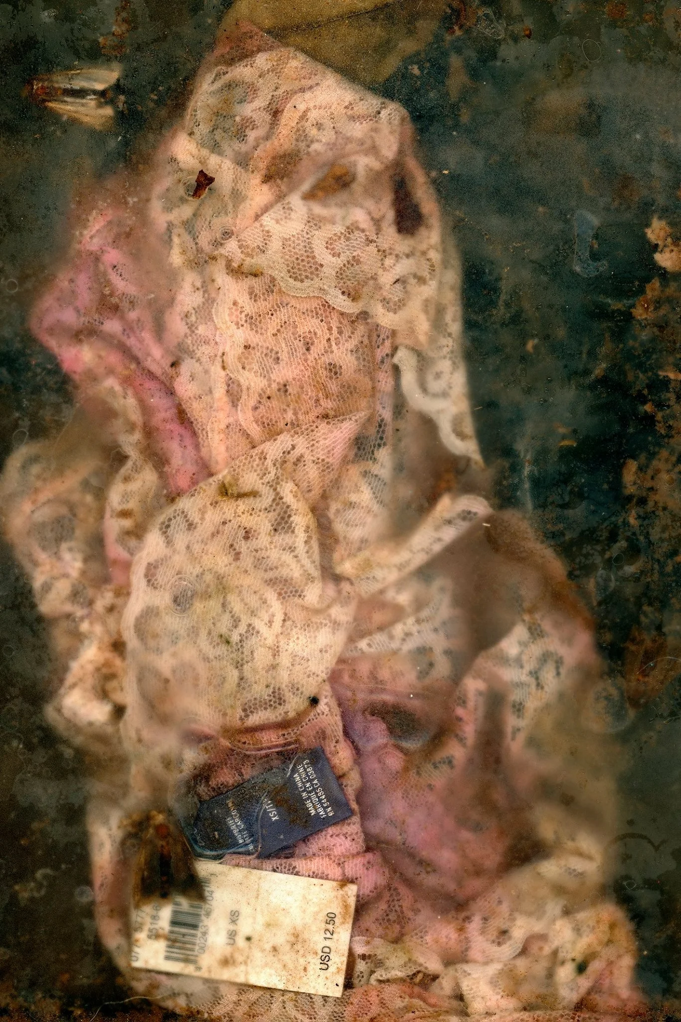 victoria marie bee,&nbsp;I feel my luck could change,&nbsp;2017[click on image for fullscreen]