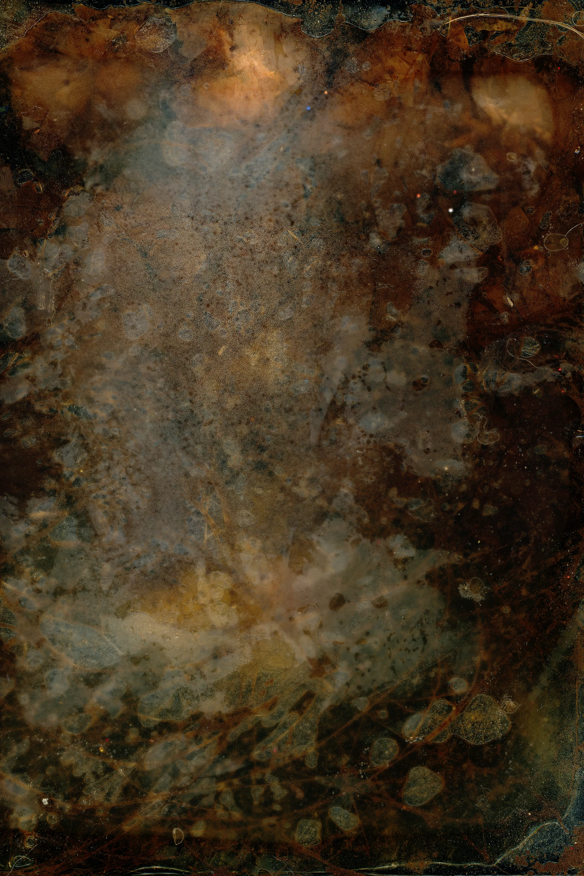 victoria marie bee, penumbra,&nbsp;2017[click on image for fullscreen]
