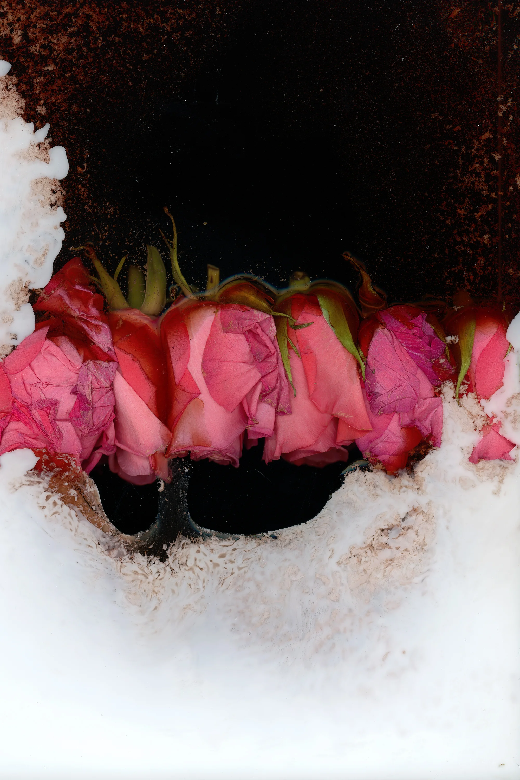 victoria marie bee, like this, the air thin &amp; eager like this, 2018[click on image for fullscreen]