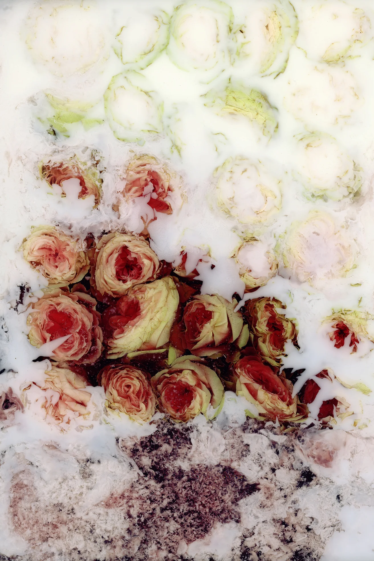 Victoria Marie Bee, you do not have to be good, archival pigment print, 2019 [click to view in fullscreen]