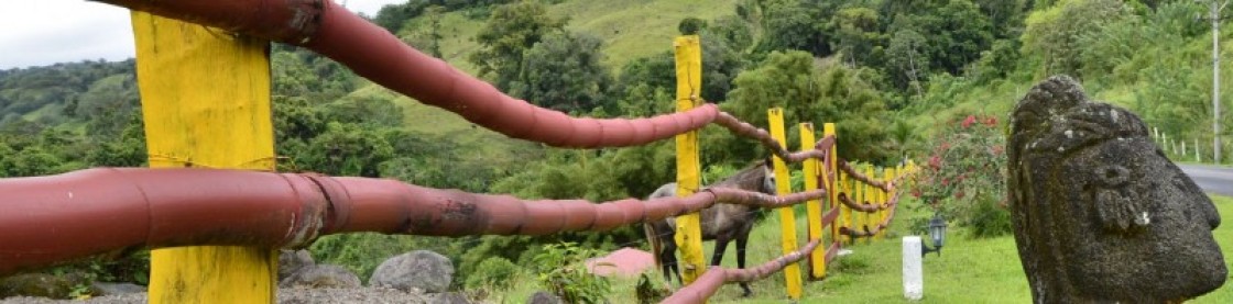 costa rica fence.jpg