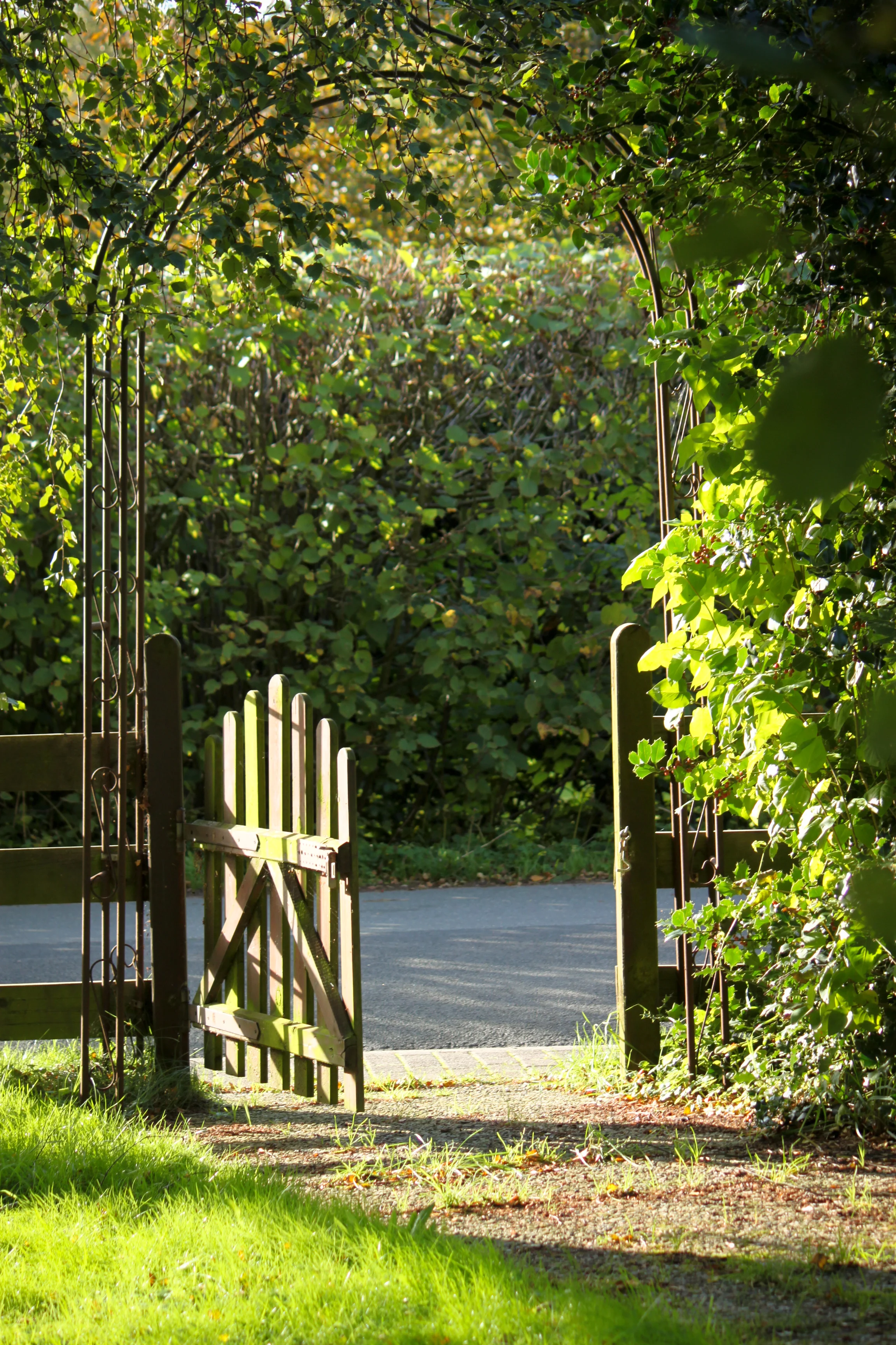 Открытая калитка. Калитка в сад. Сказочная дверь для сада. Мы открываем калитку. Мы открываем калитку.