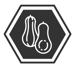 squash-01.png