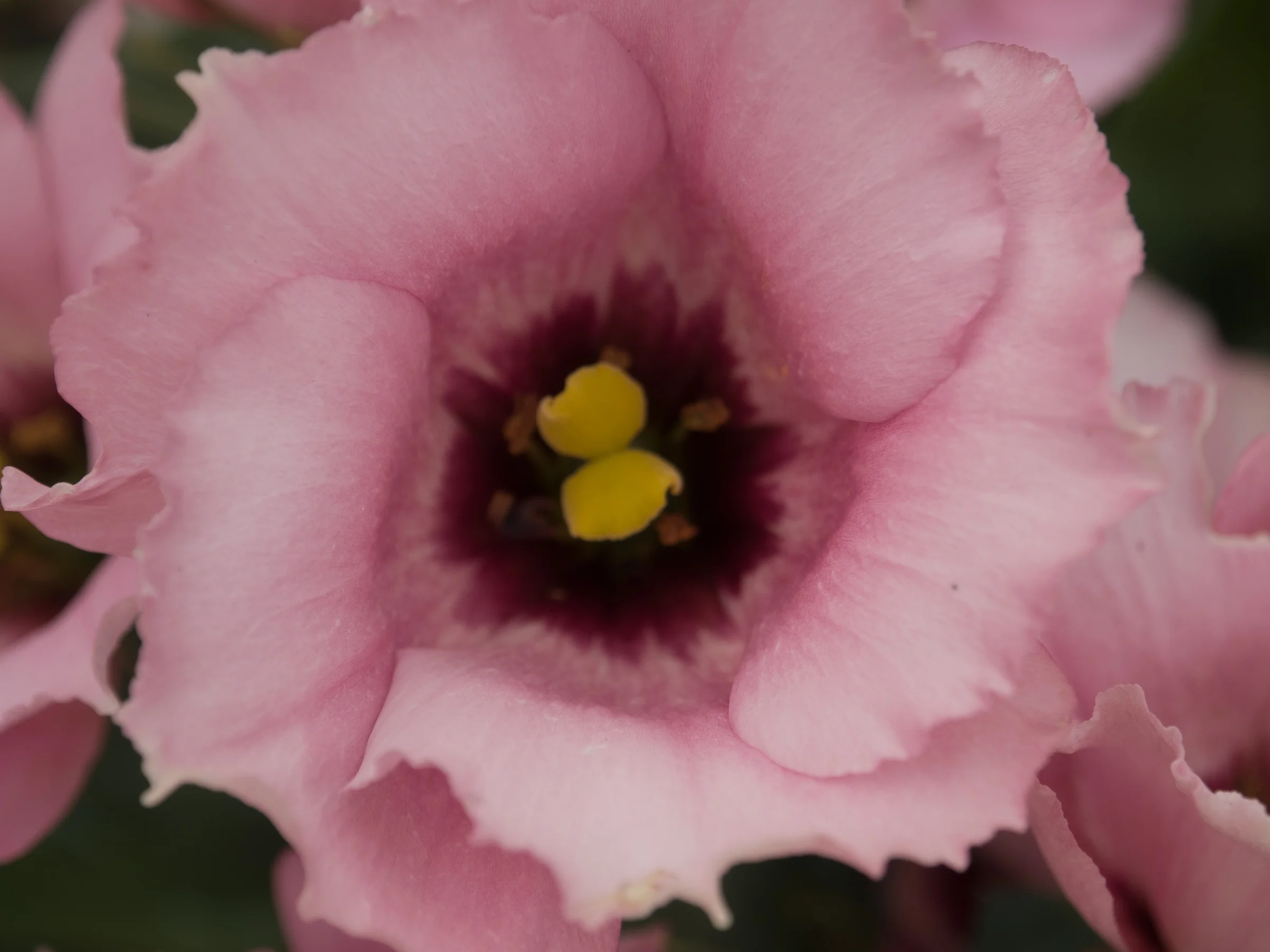 Picture taken with the EM5 Mark II