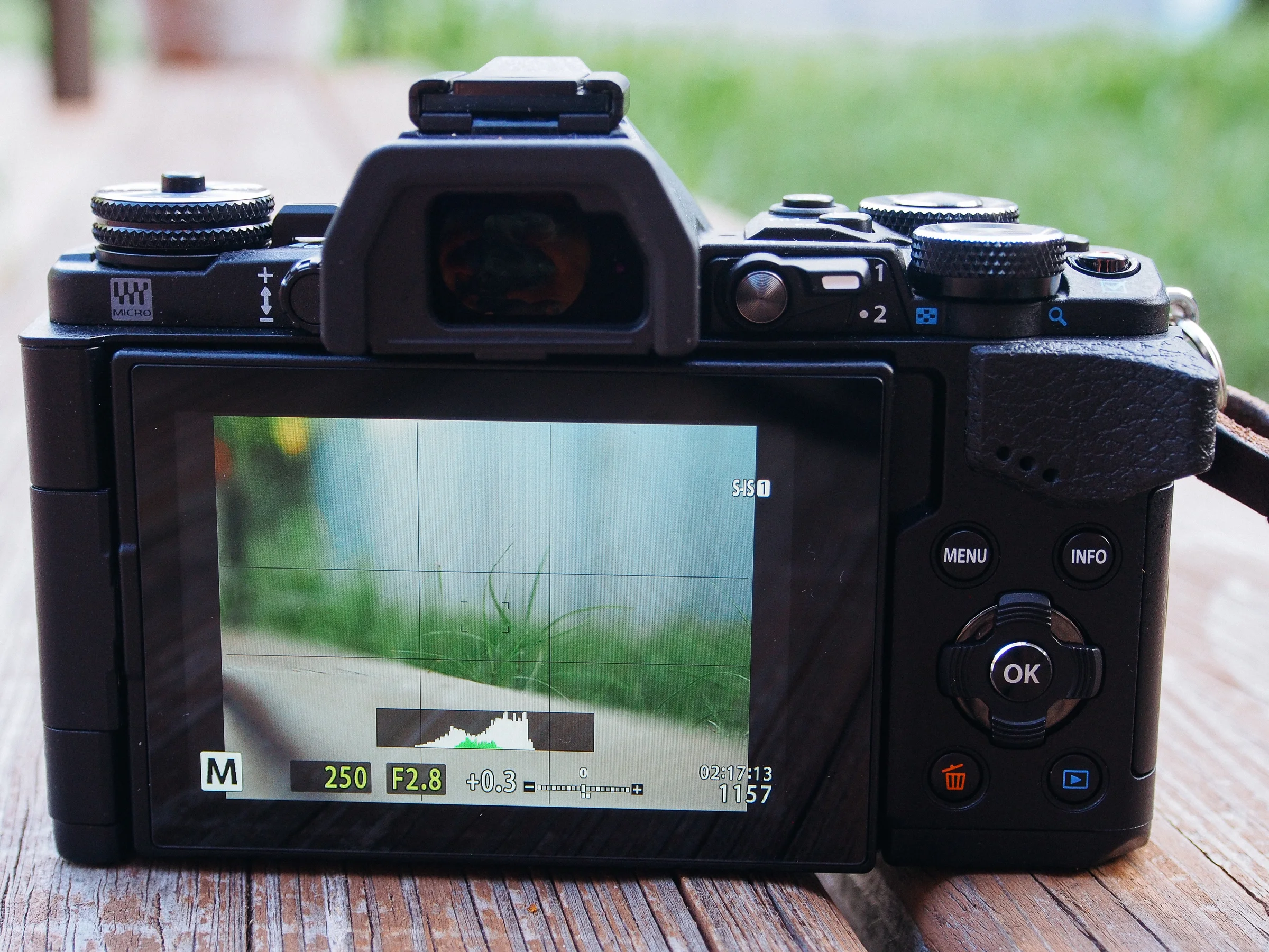 Rear LCD Screen