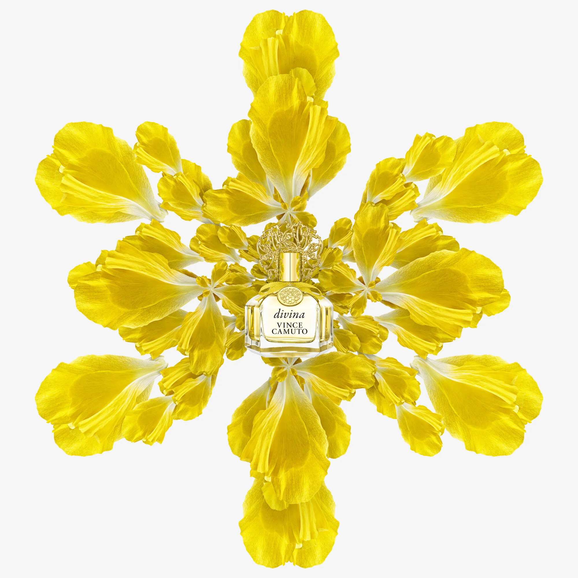 DIVINA_1UP_COMP_RGB copy.jpg