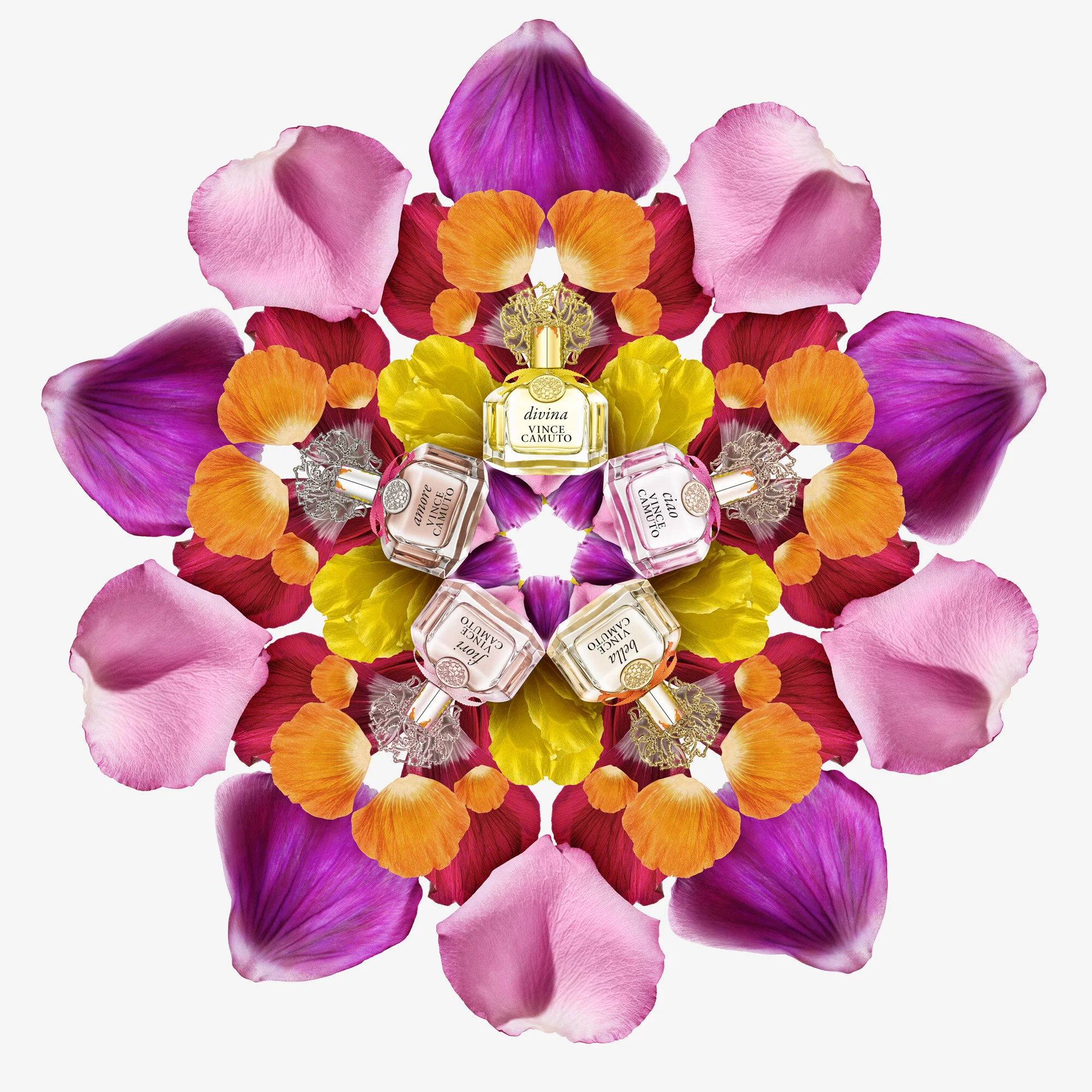 DIVINA_5UP_COMP_RGB copy.jpg