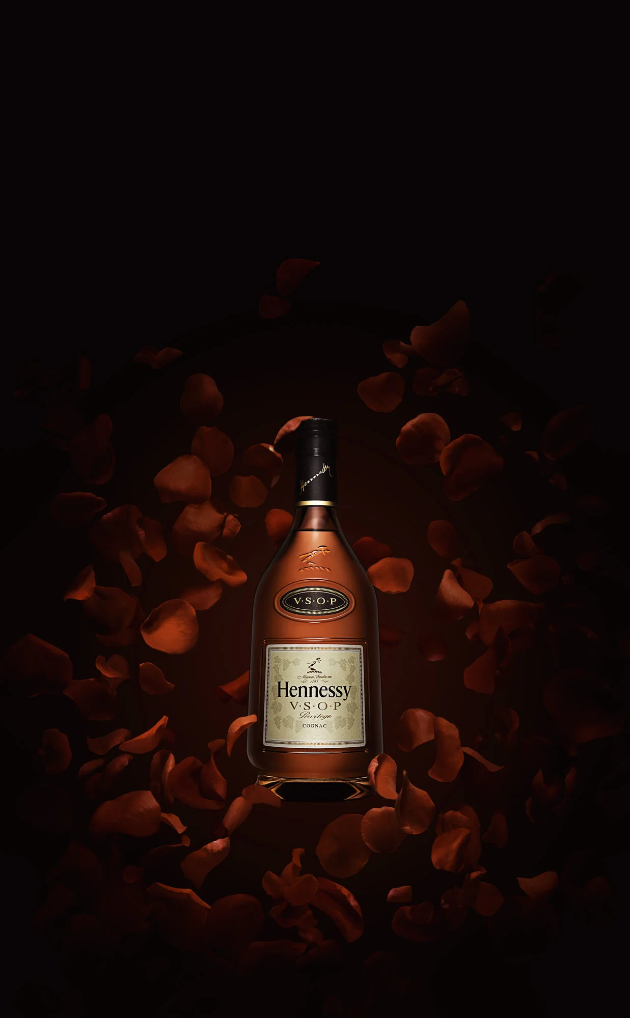 VSOP_PETAL_COMP_RGB copy.jpg