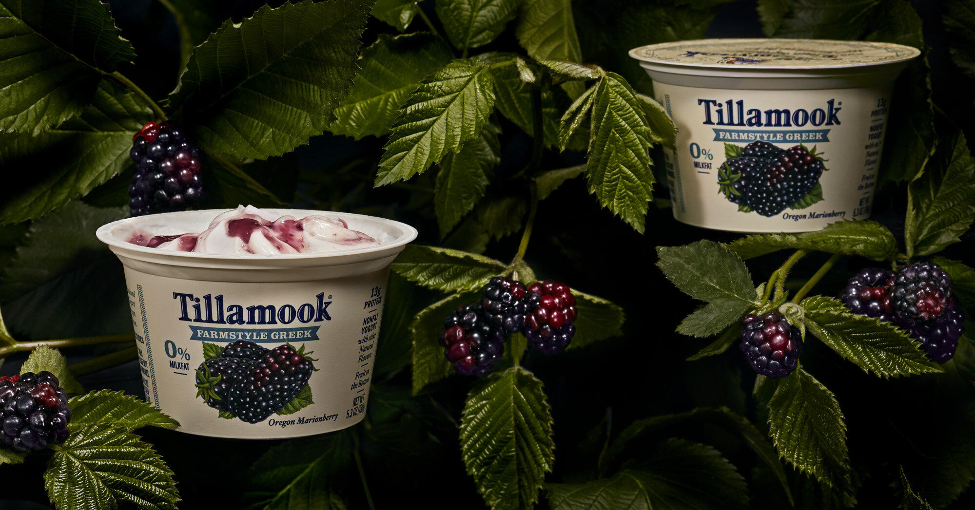 Tillamook_050118_2785_Yogurt_RGB copy.jpg