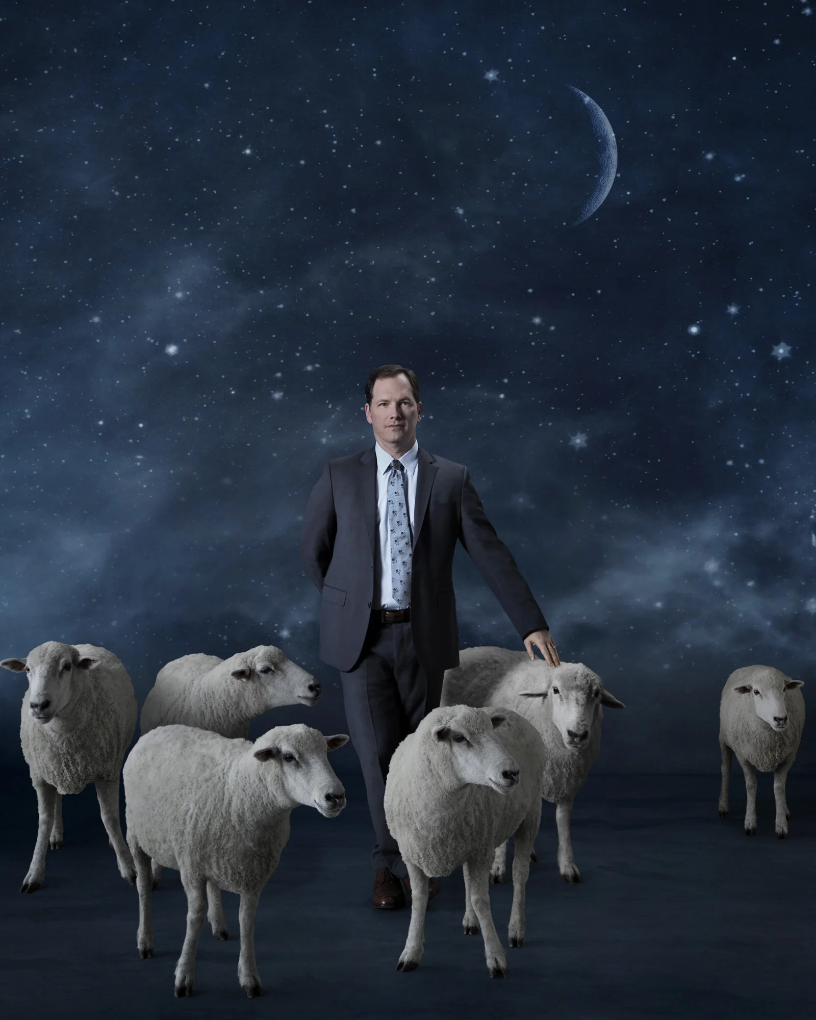 AC sheep surround v4_RGB copy.jpg