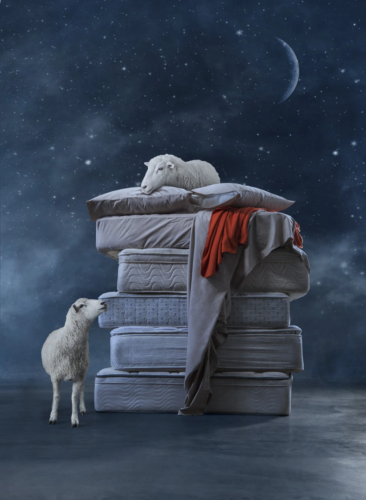 DSC_3225_RGB copy.jpg