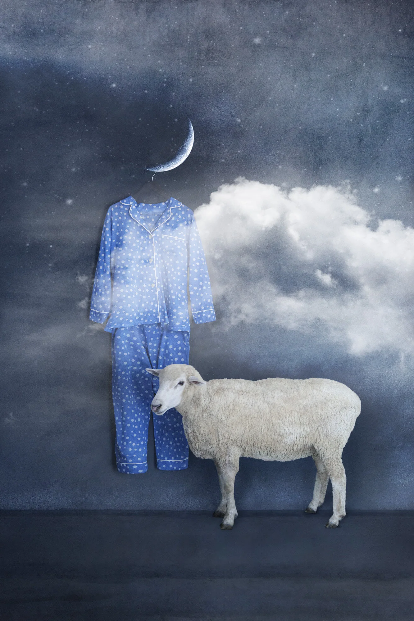 IMG_9002_RGB copy.jpg