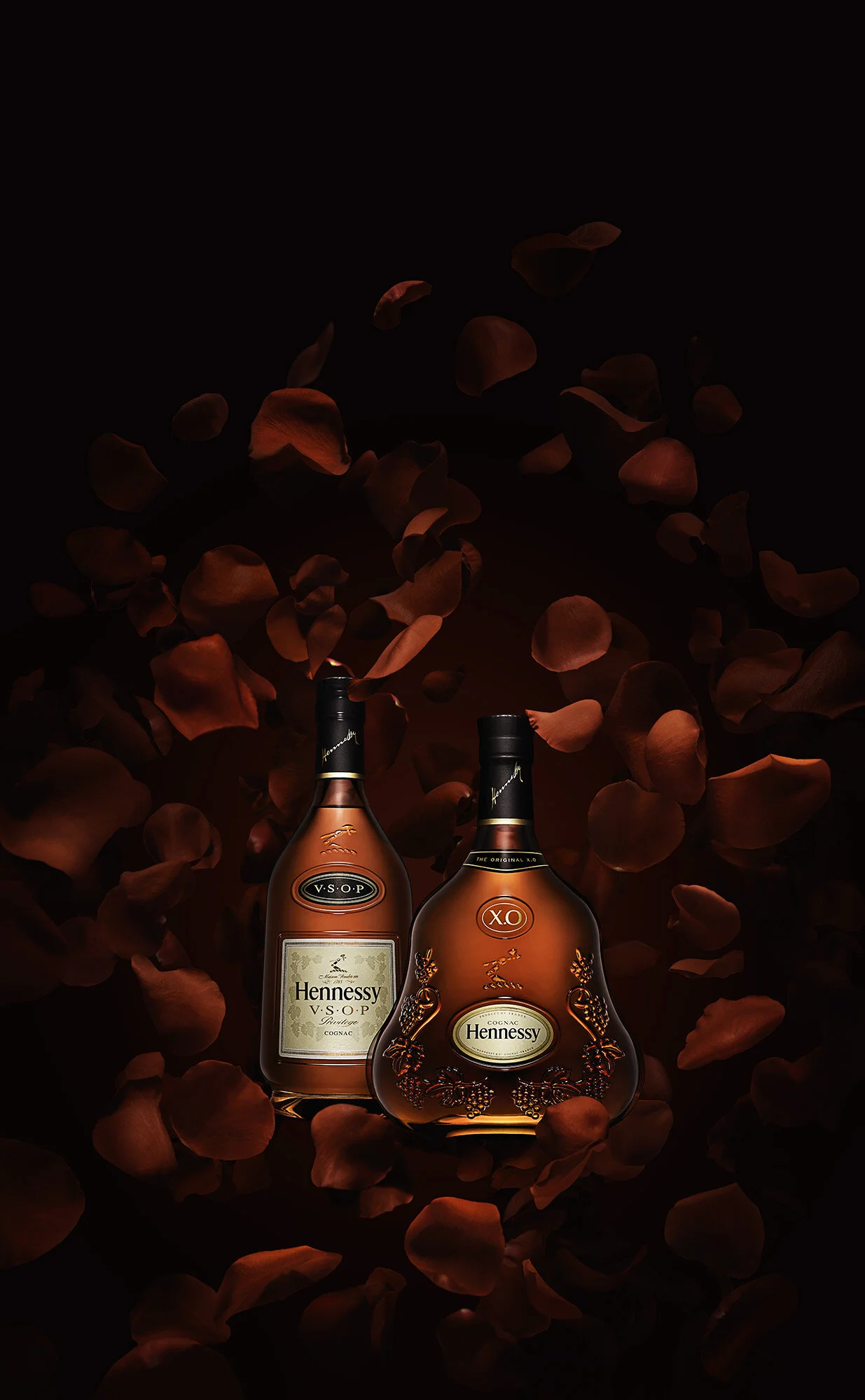 2UP_PETAL_COMP_KZ12 copy 2.jpg