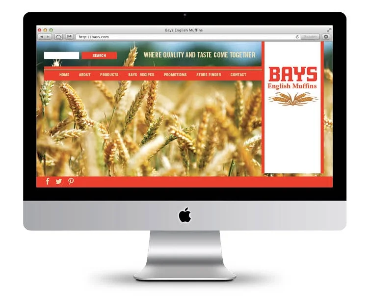 BAYS_Web.jpg