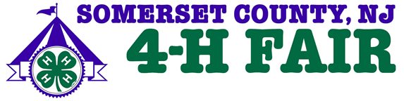 4-H Fair