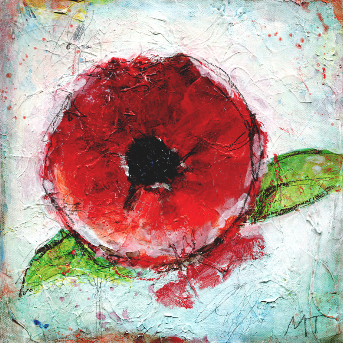 Red Poppy