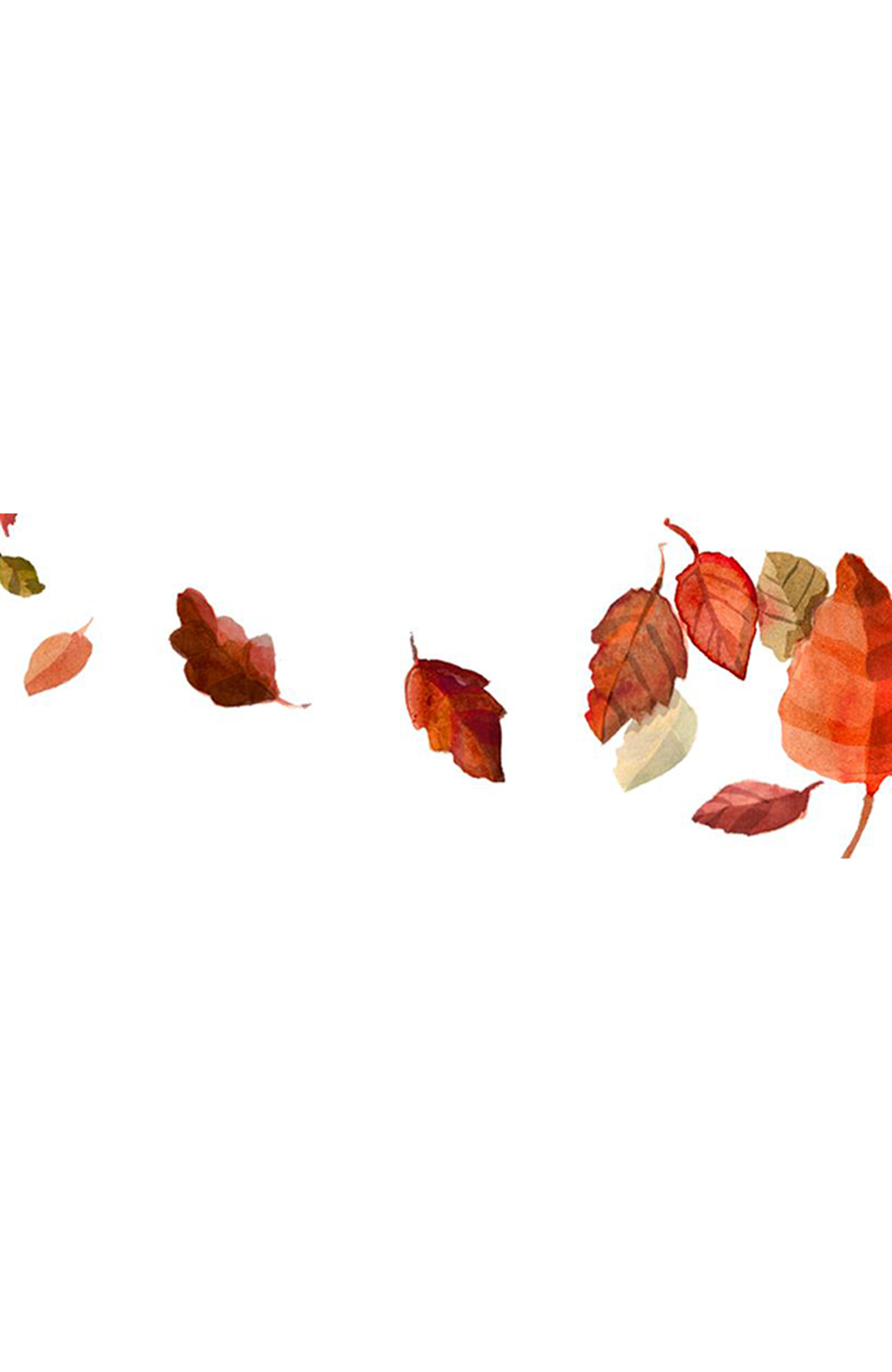 leaves.jpg