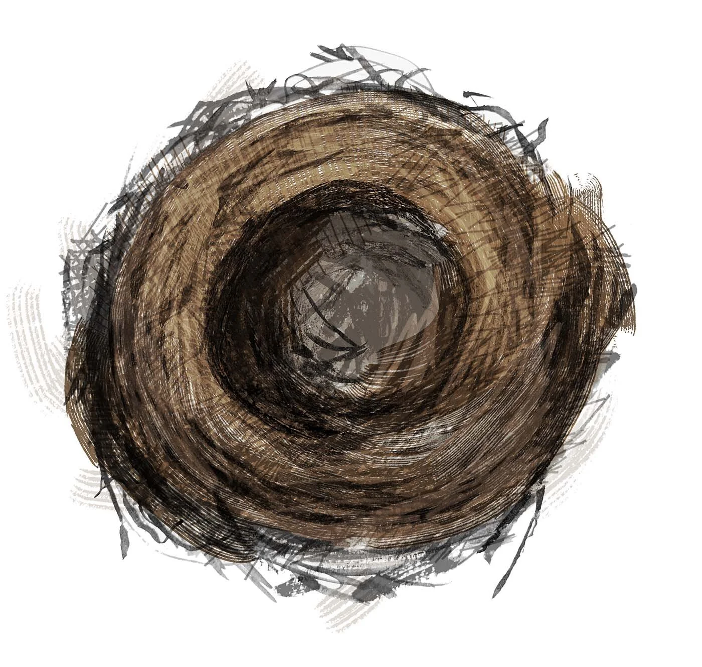 SERMON | Dead Birds and Tough Goodbyes
