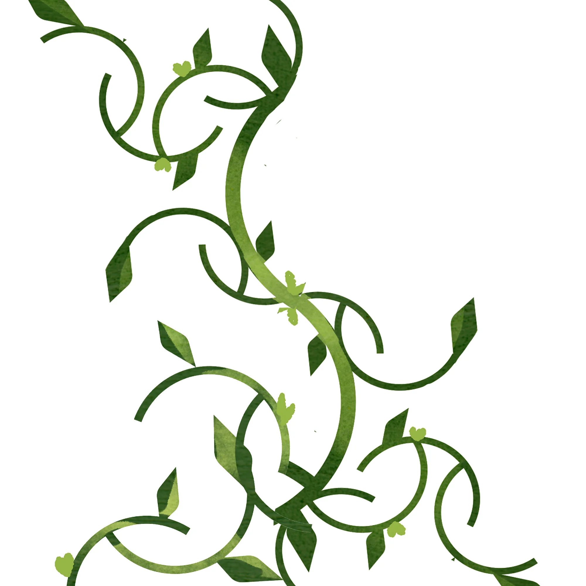 SERMON | Growing in a Different Direction