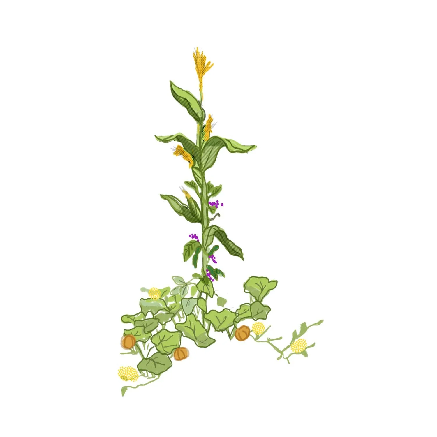 SERMON | Merely Human 