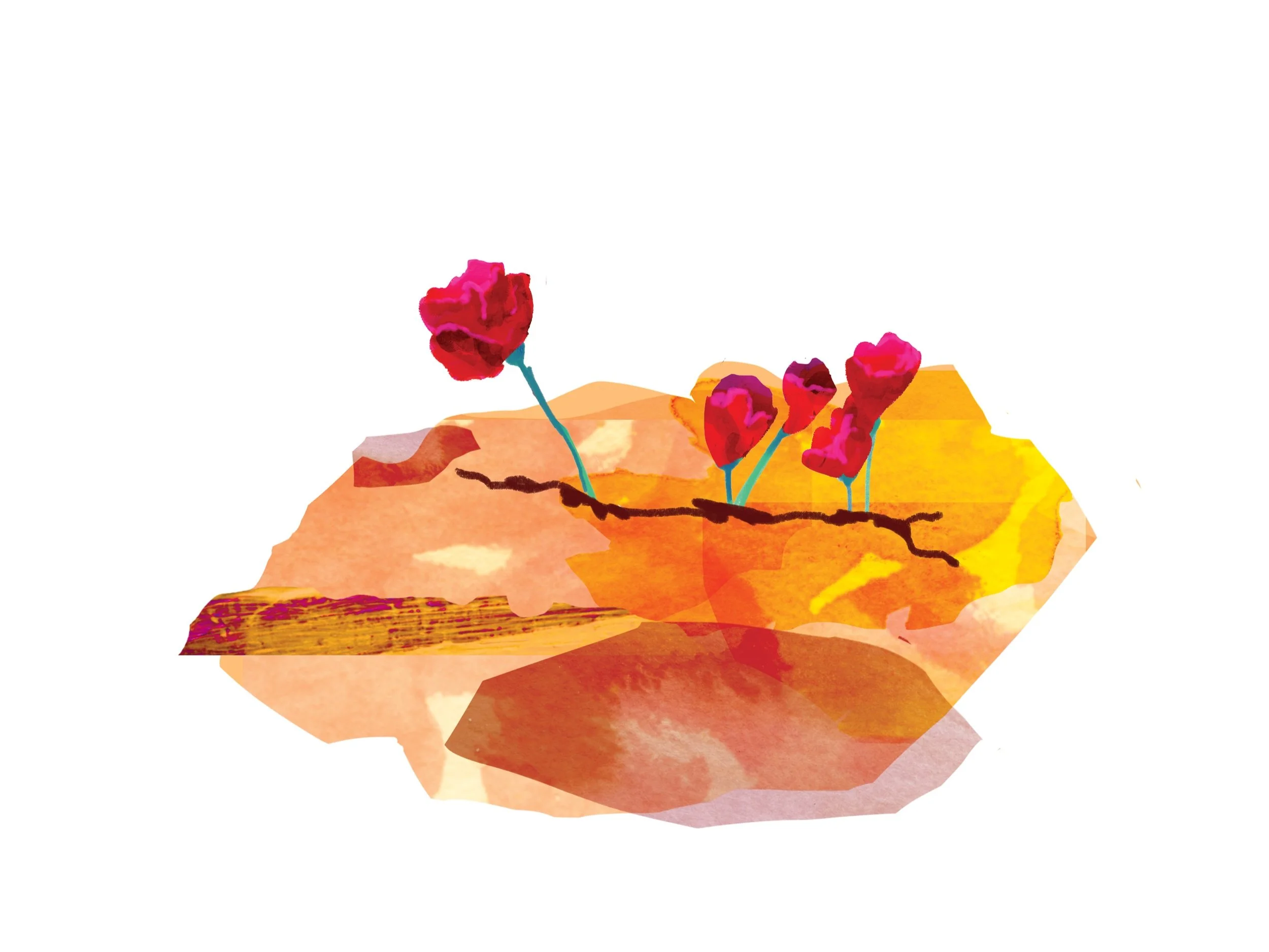 SERMON | Forgiveness Series 2 | Desert Bloom