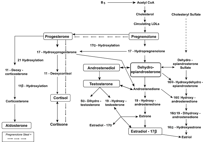 Hormone Production Chart